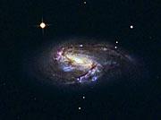 M66