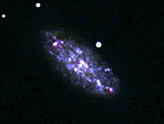 NGC2976