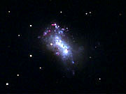 NGC4449