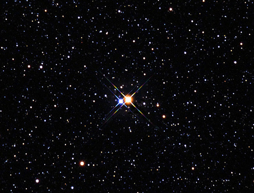 Albireo